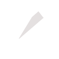 韶关临时保镖服务